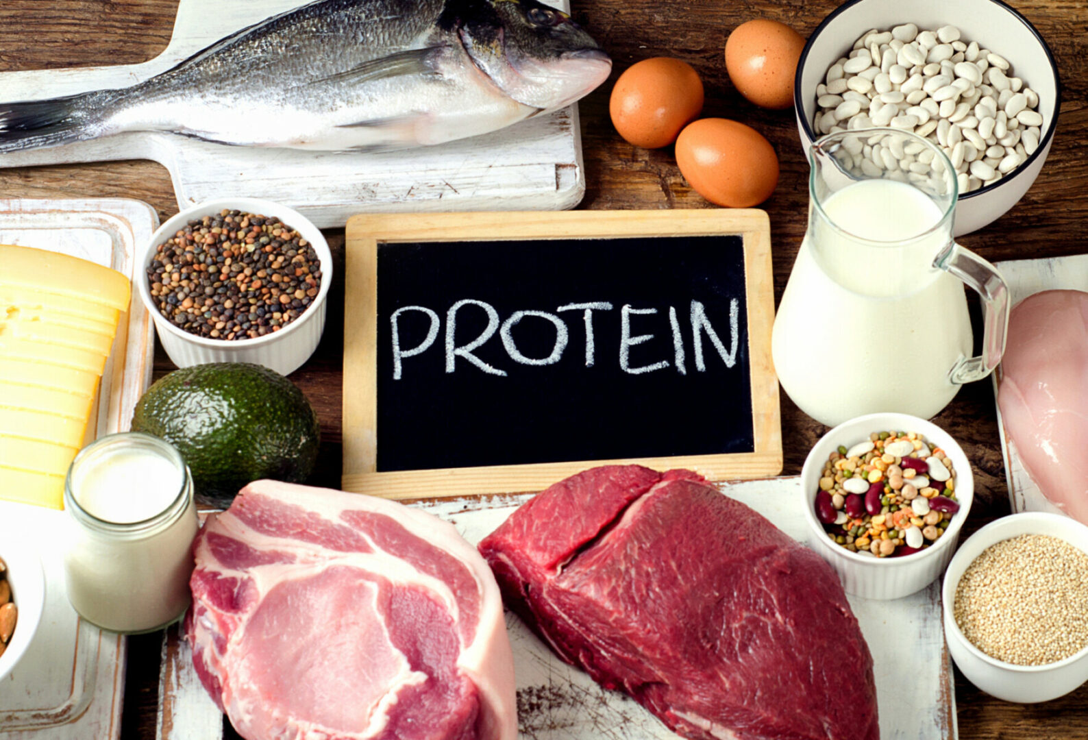 Excessive Protein And Its Influence On Kidney Health